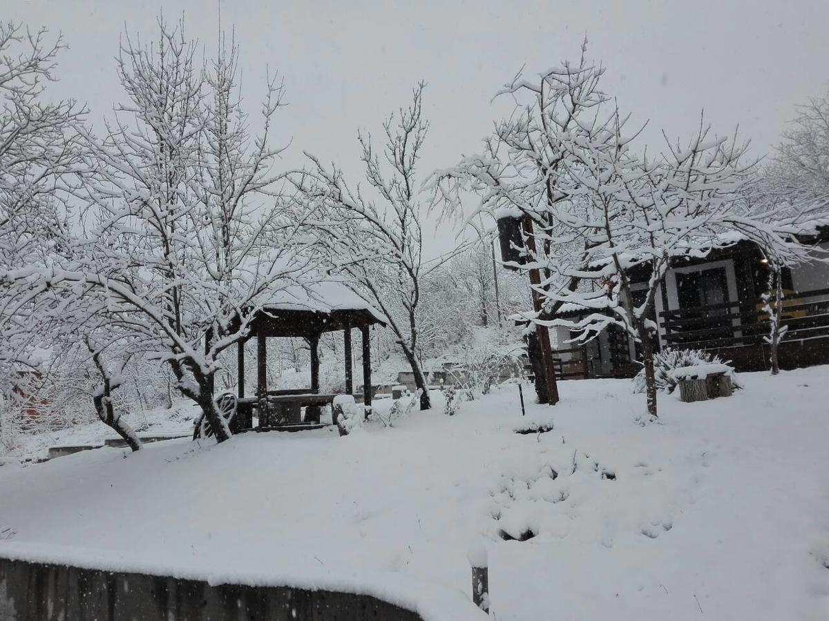 Apartmani Jankovic Vrdnik Esterno foto