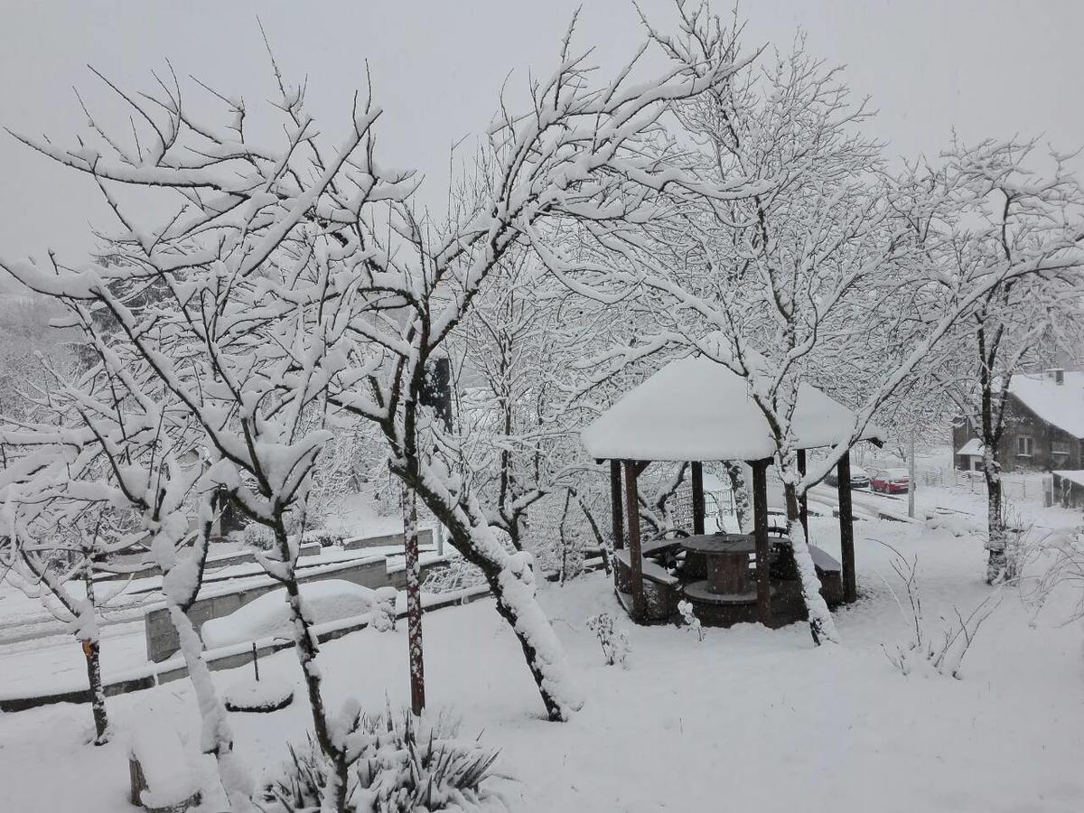 Apartmani Jankovic Vrdnik Esterno foto