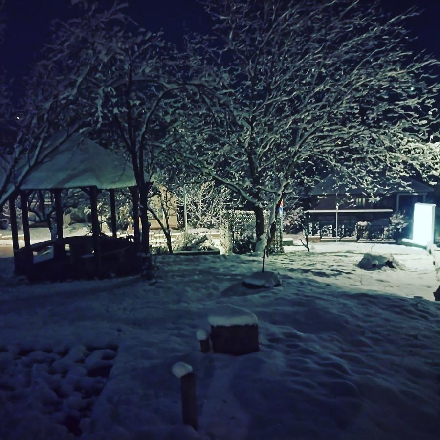 Apartmani Jankovic Vrdnik Esterno foto