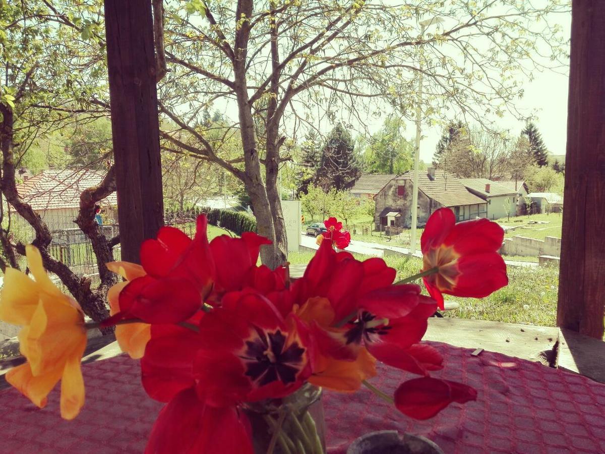 Apartmani Jankovic Vrdnik Esterno foto