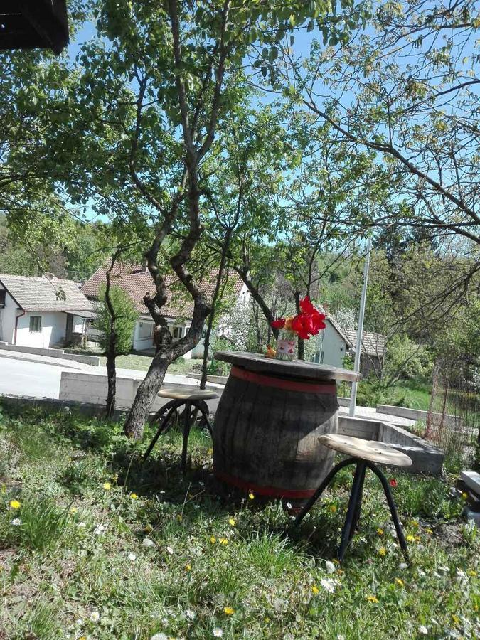 Apartmani Jankovic Vrdnik Esterno foto