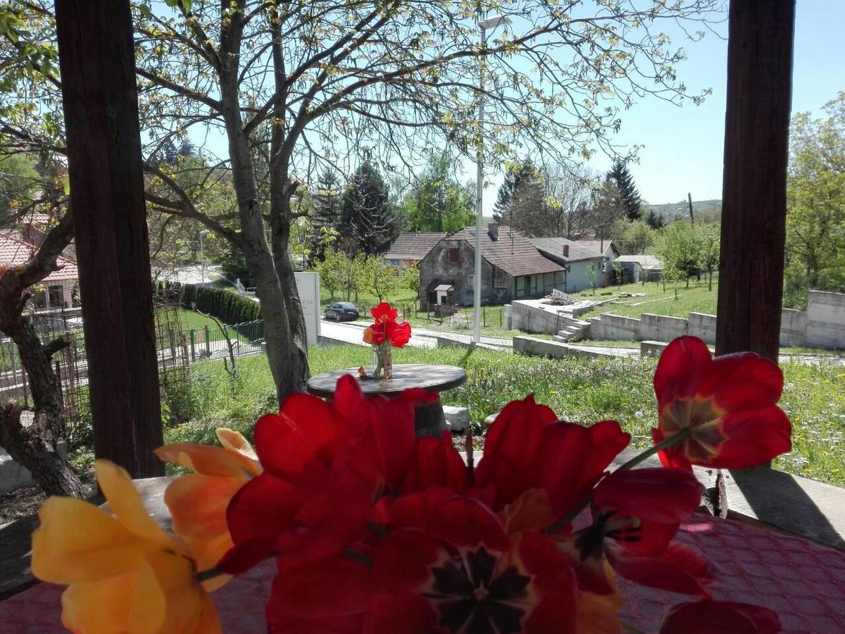 Apartmani Jankovic Vrdnik Esterno foto