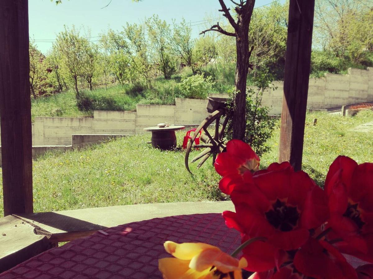 Apartmani Jankovic Vrdnik Esterno foto