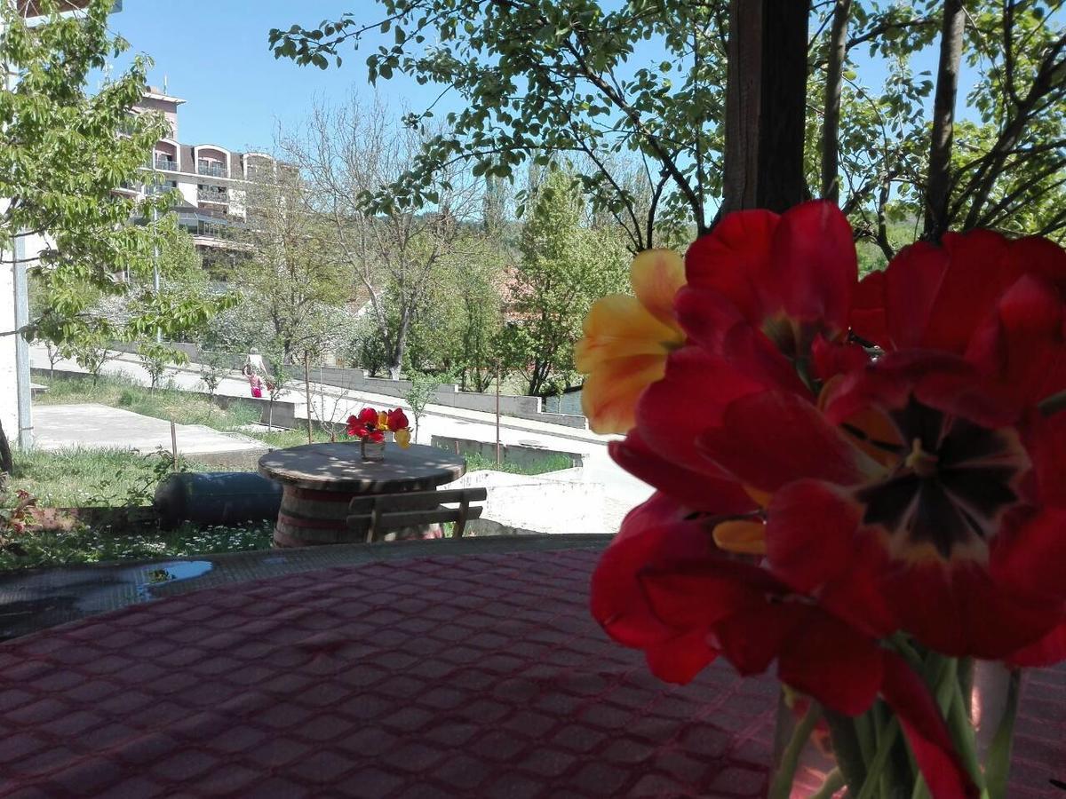 Apartmani Jankovic Vrdnik Esterno foto