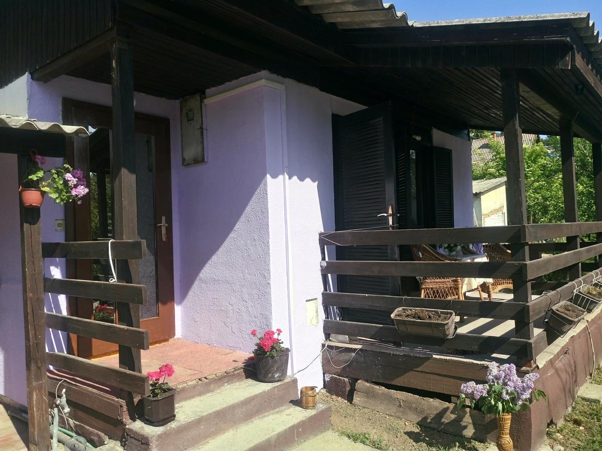 Apartmani Jankovic Vrdnik Esterno foto