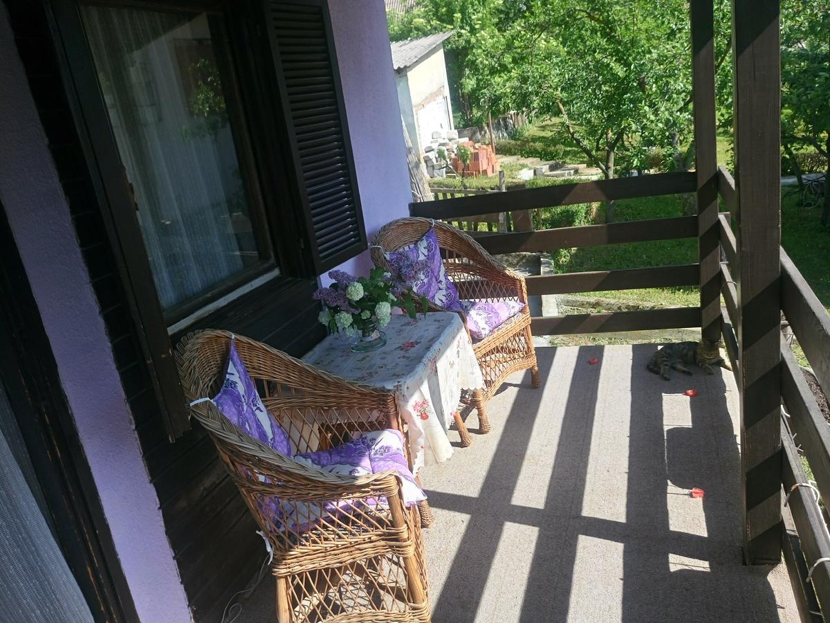 Apartmani Jankovic Vrdnik Esterno foto