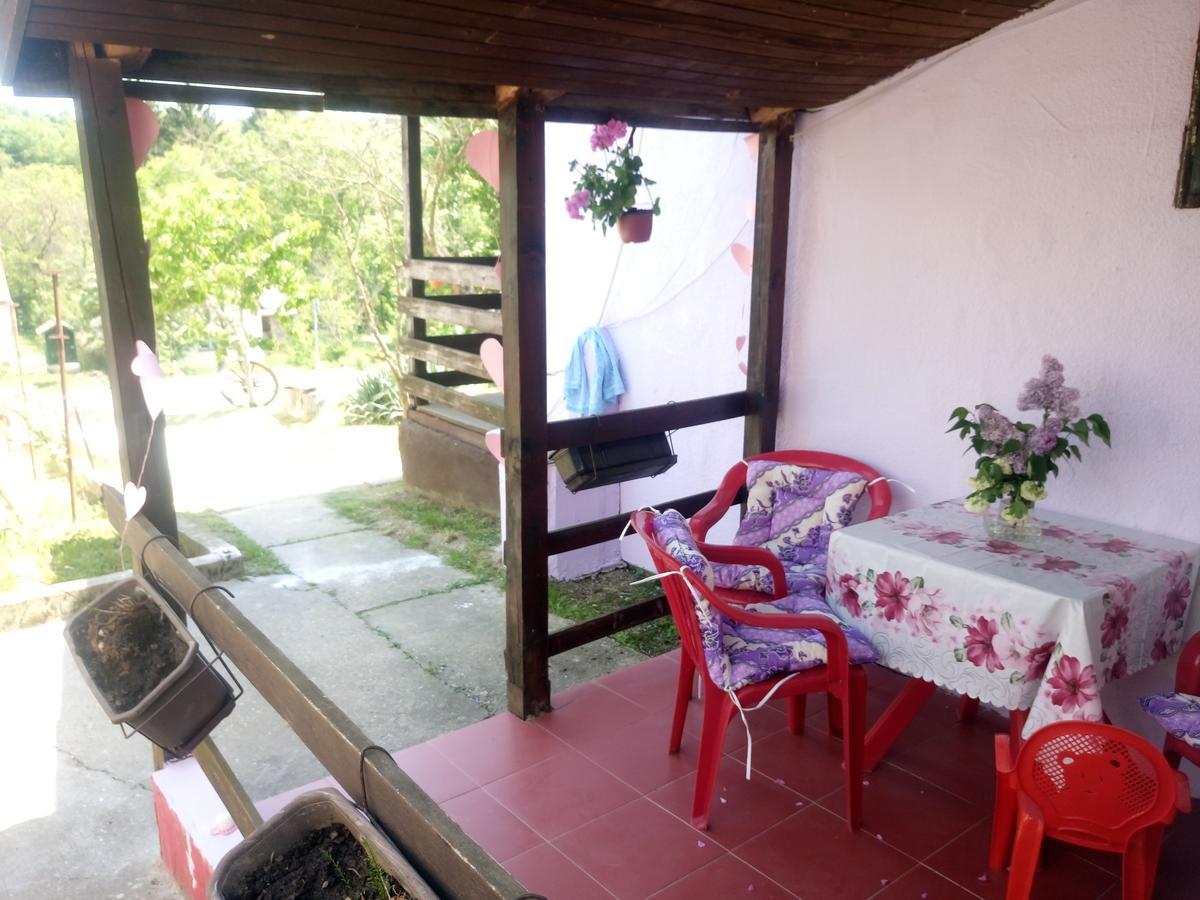 Apartmani Jankovic Vrdnik Esterno foto