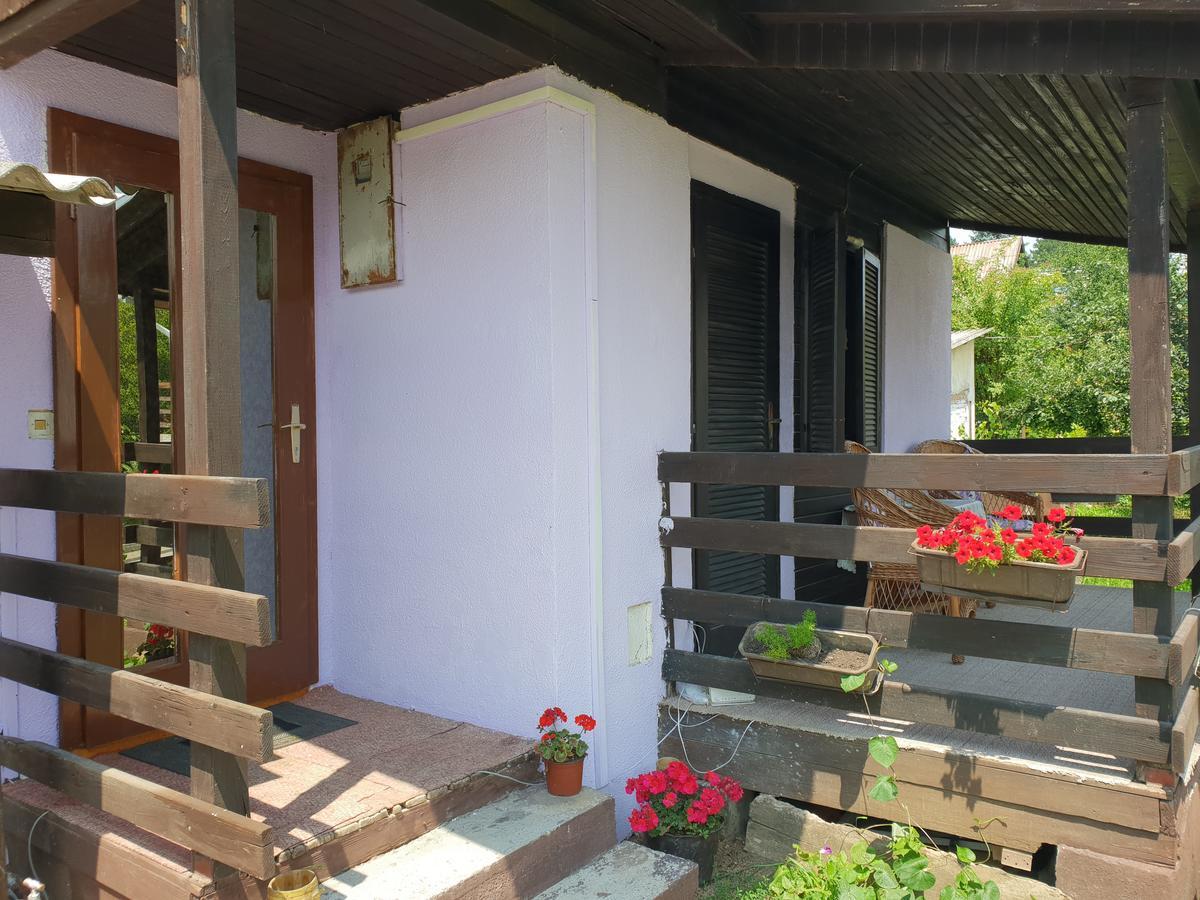 Apartmani Jankovic Vrdnik Esterno foto