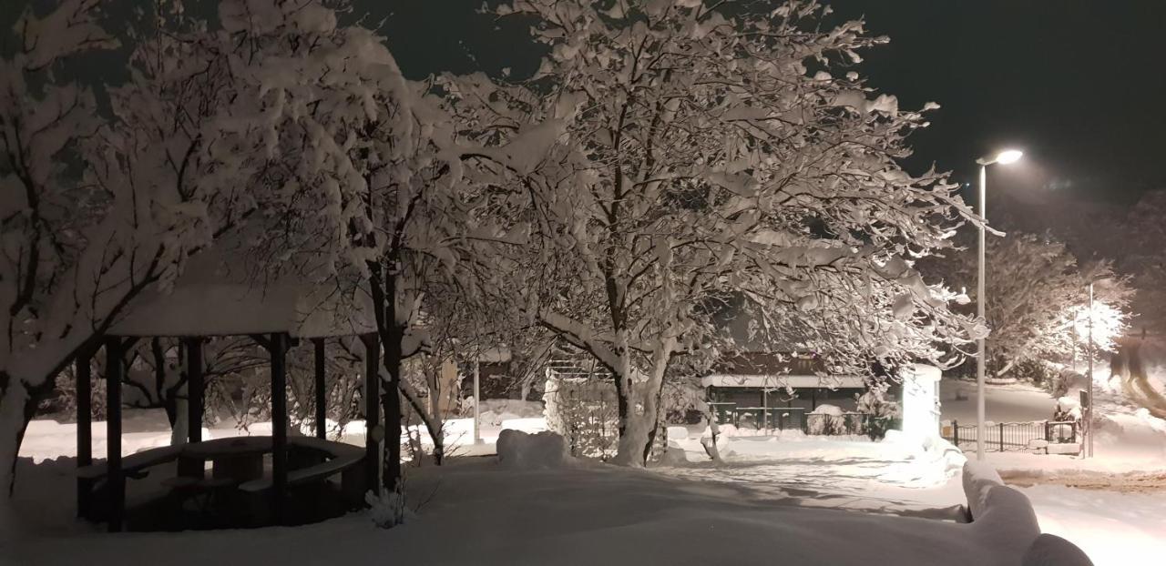 Apartmani Jankovic Vrdnik Esterno foto