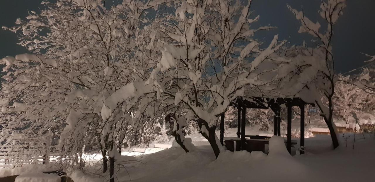 Apartmani Jankovic Vrdnik Esterno foto