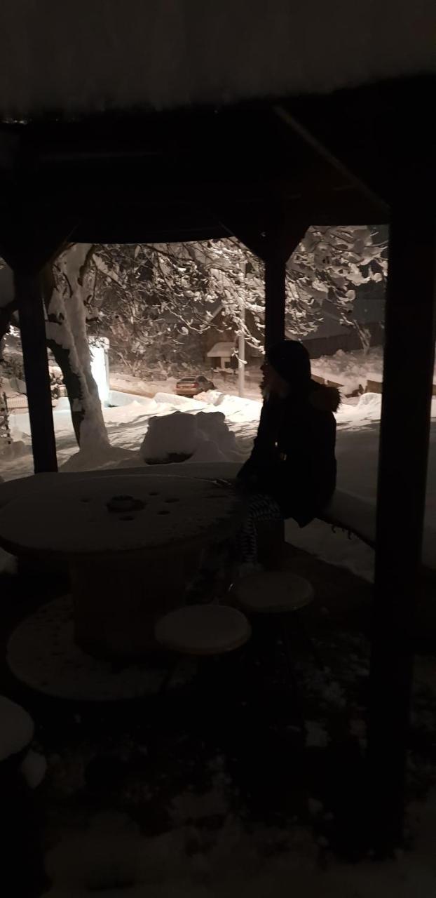 Apartmani Jankovic Vrdnik Esterno foto
