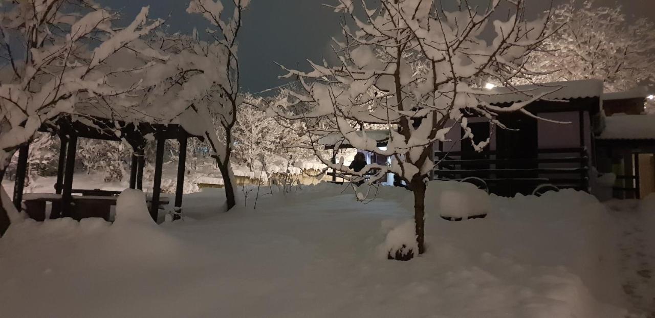 Apartmani Jankovic Vrdnik Esterno foto